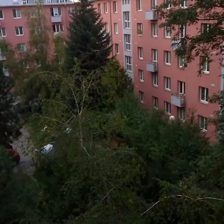 Apartament Uvoz Street 64